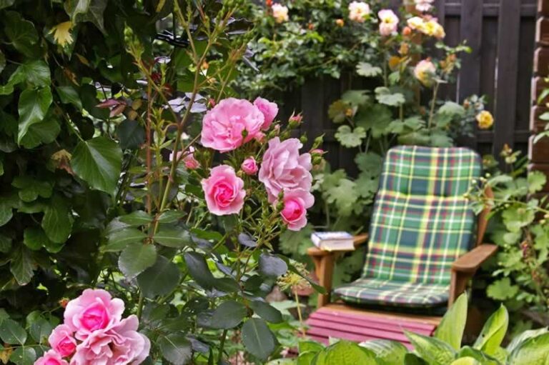chair in the garden