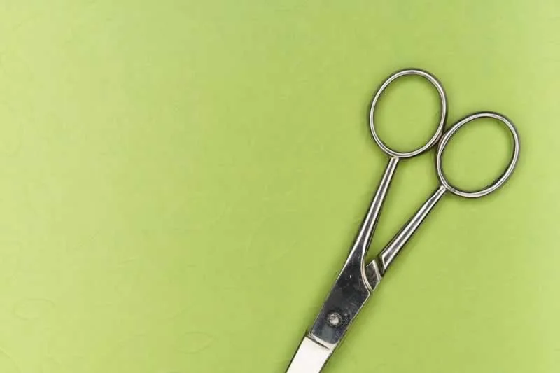 scissors