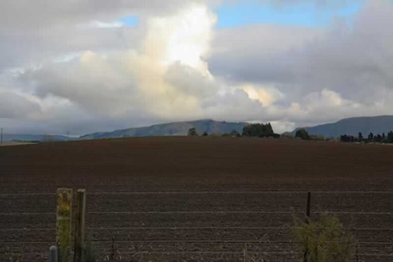 raw land