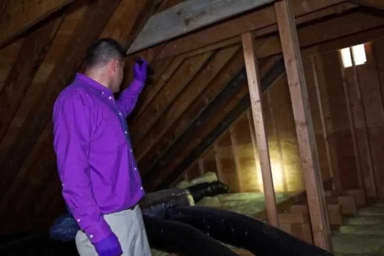checking the attic