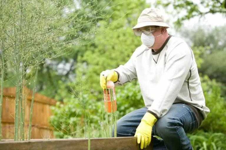 man spraying pests