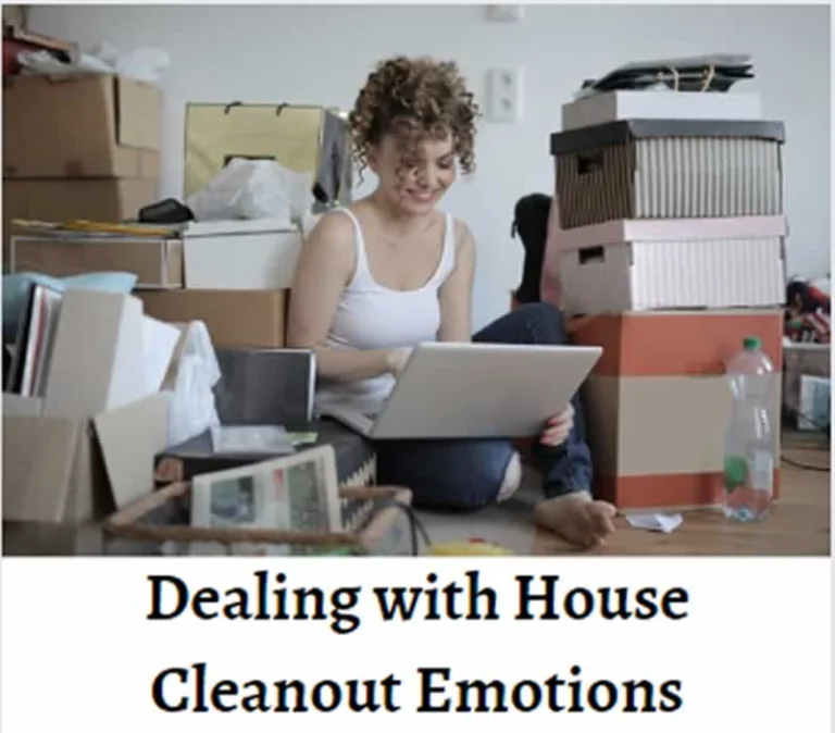 house cleanout