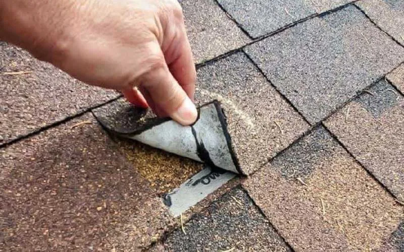 peeling shingles