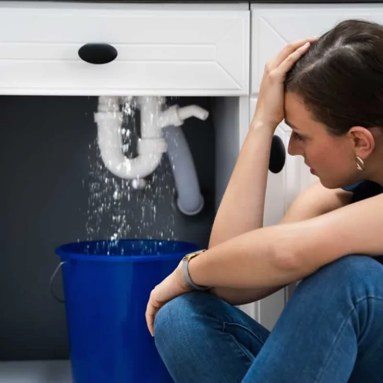 leaking water under the sink