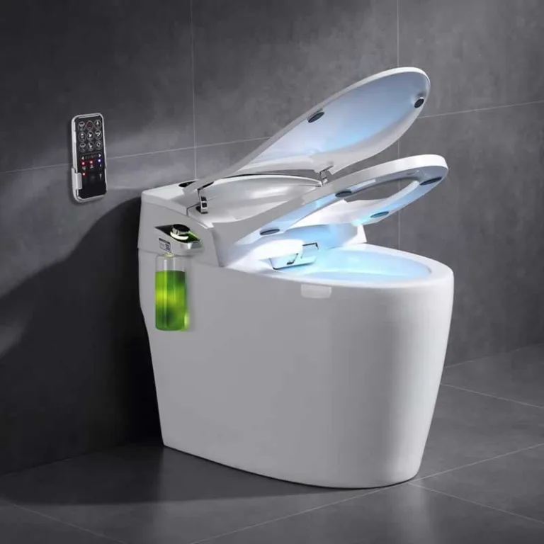 smart bidet toilet