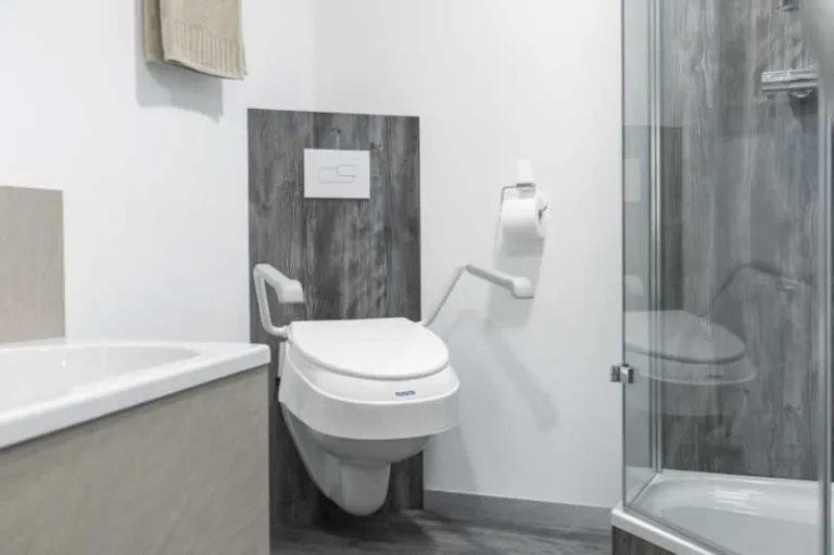 toilet for people with disabilities