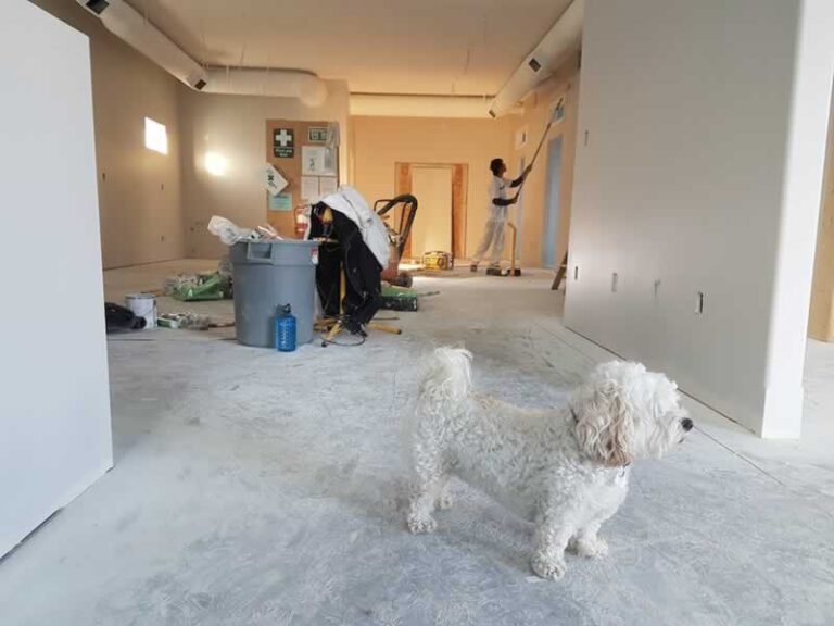 painting interior