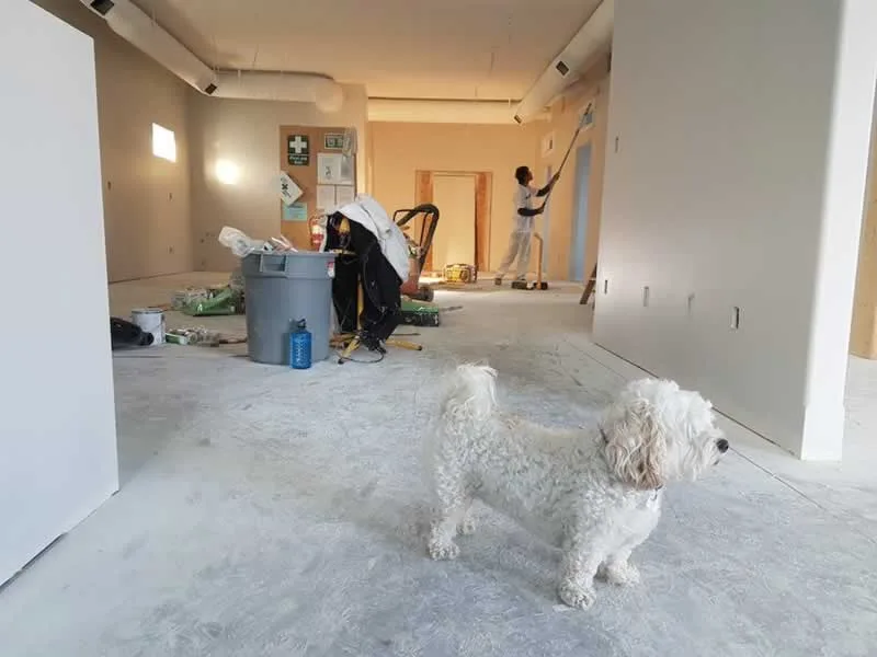 painting interior
