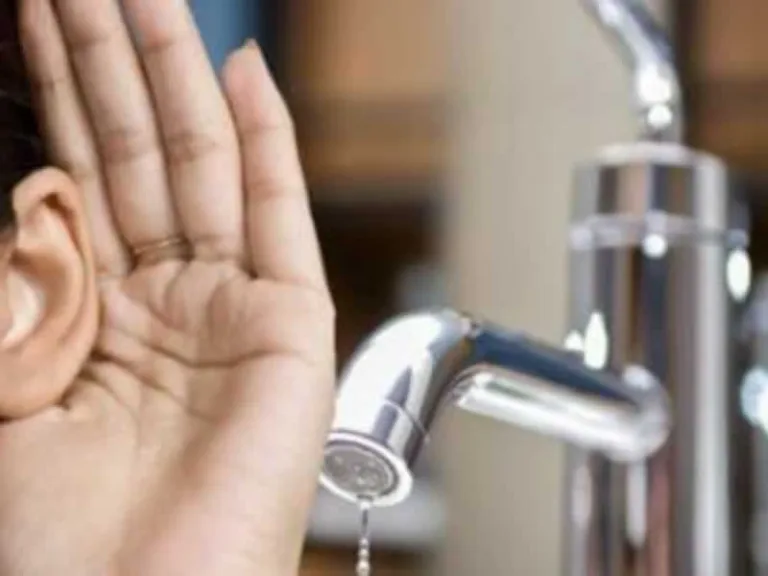 hearing leaking water