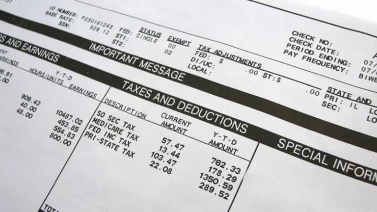 paystub