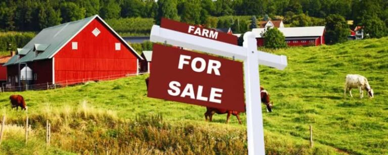 farm for sale