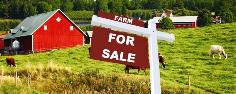 farm for sale