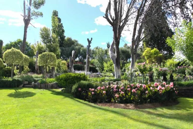 amazing garden