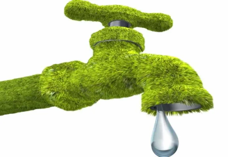 green plumbing pipe