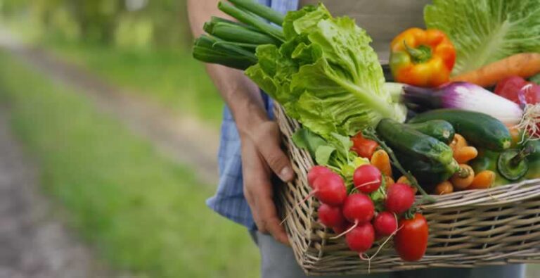 carrying organic vegetables