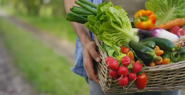 carrying organic vegetables