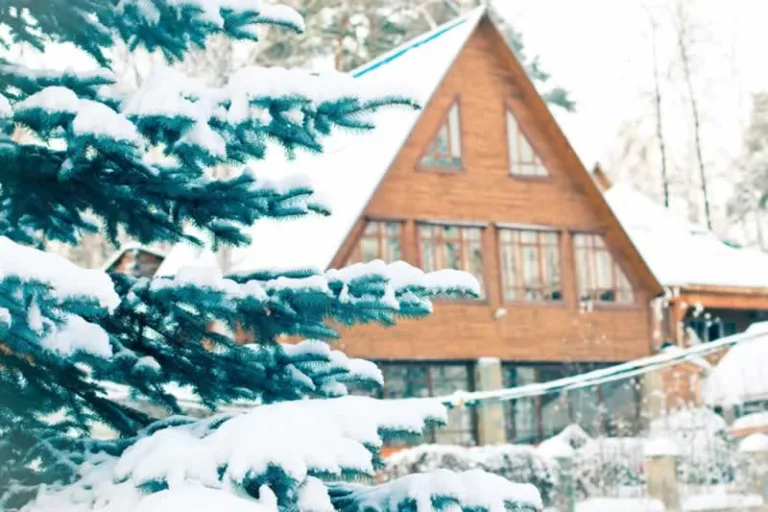 house under snow