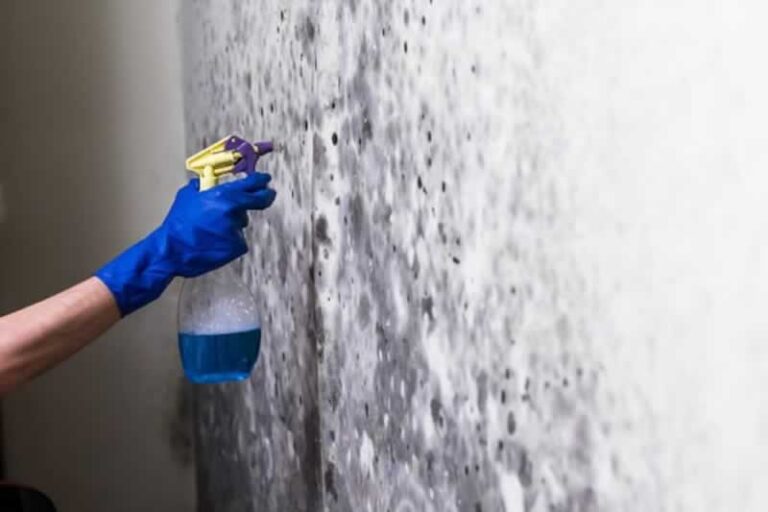 spraying mold