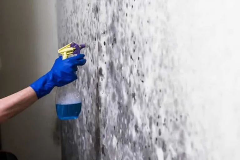 spraying mold