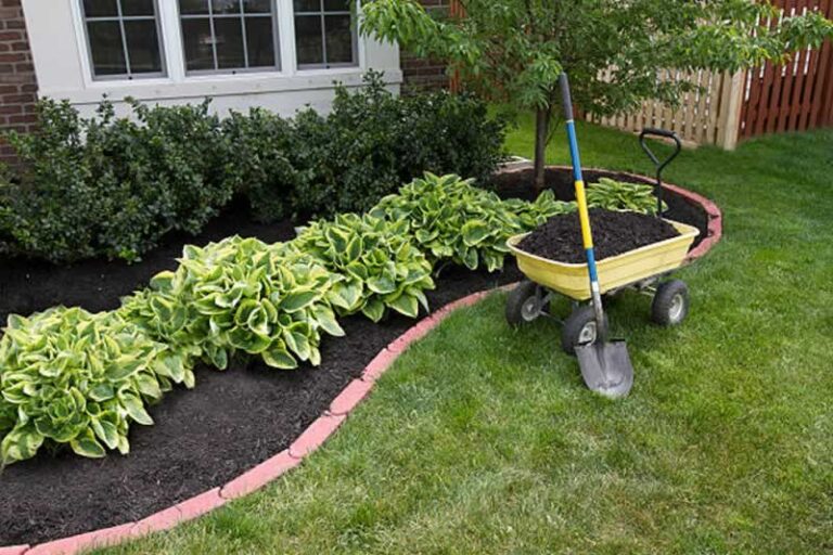 adding new soil