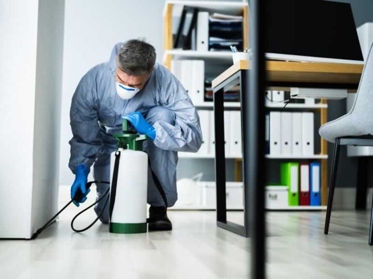 pest control