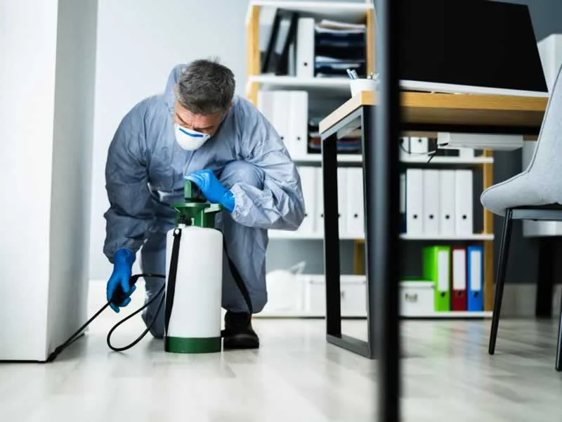 pest control