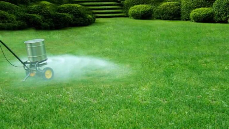 fertilizing lawn