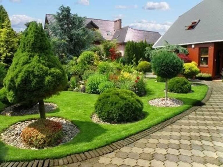 beautiful front yard