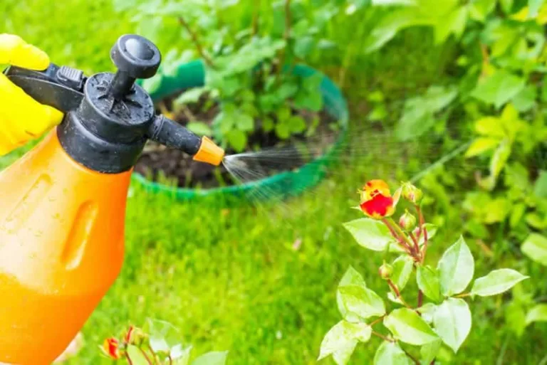 organic pest spray