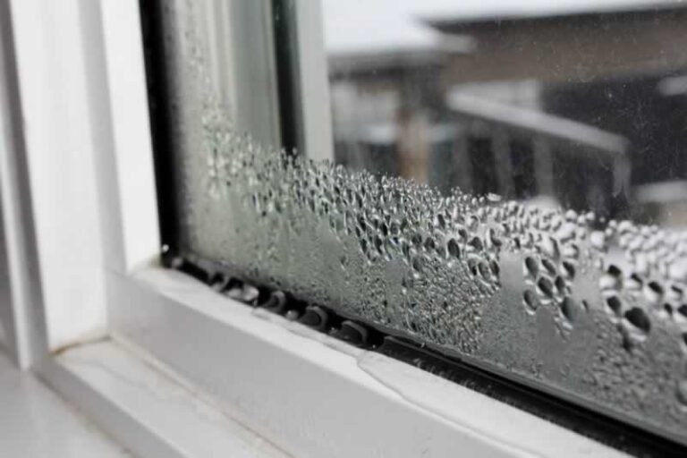 moisture on window