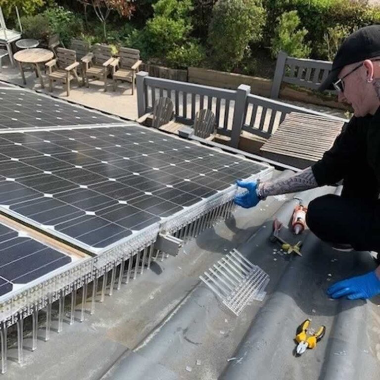 solar panels bird proofing