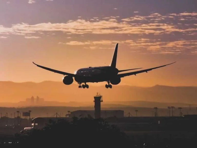 plane in the sunset