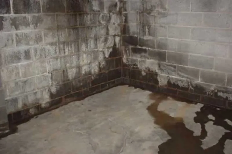 basement with leaks