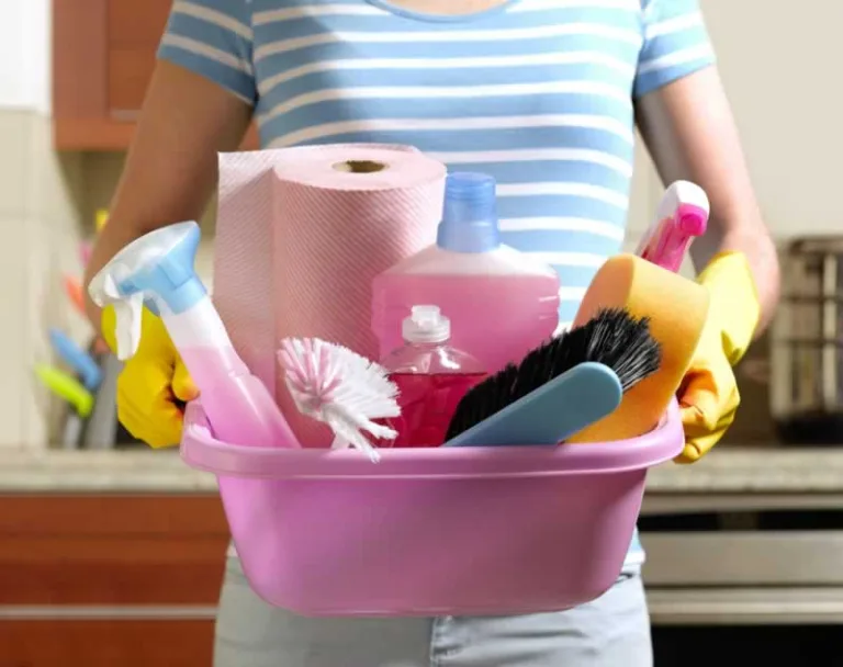 women with cleaning products