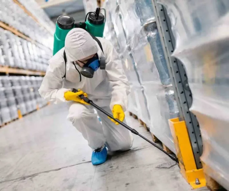 pest infestation in warehouse