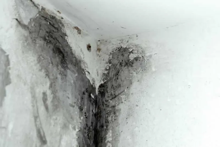 dampness in basement