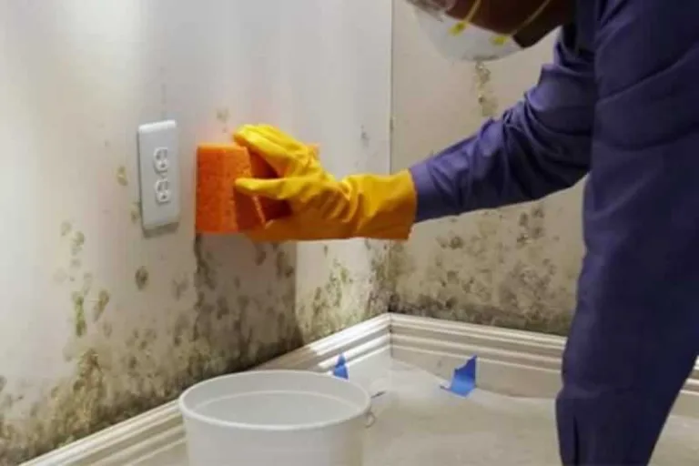 removing mold from the wall