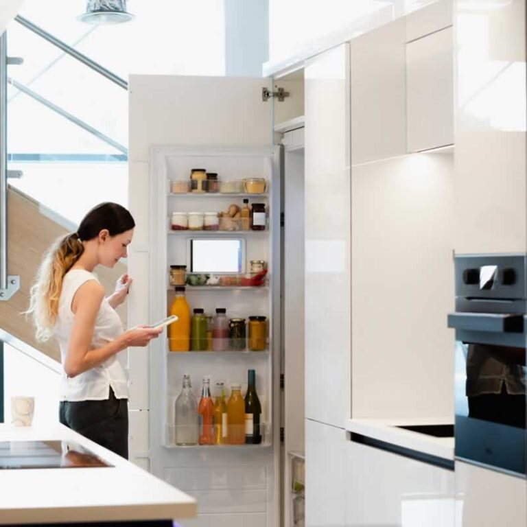 smart fridge