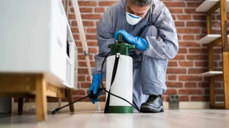 pest control in home