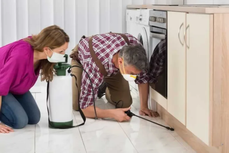 spraying pest in the kitchen