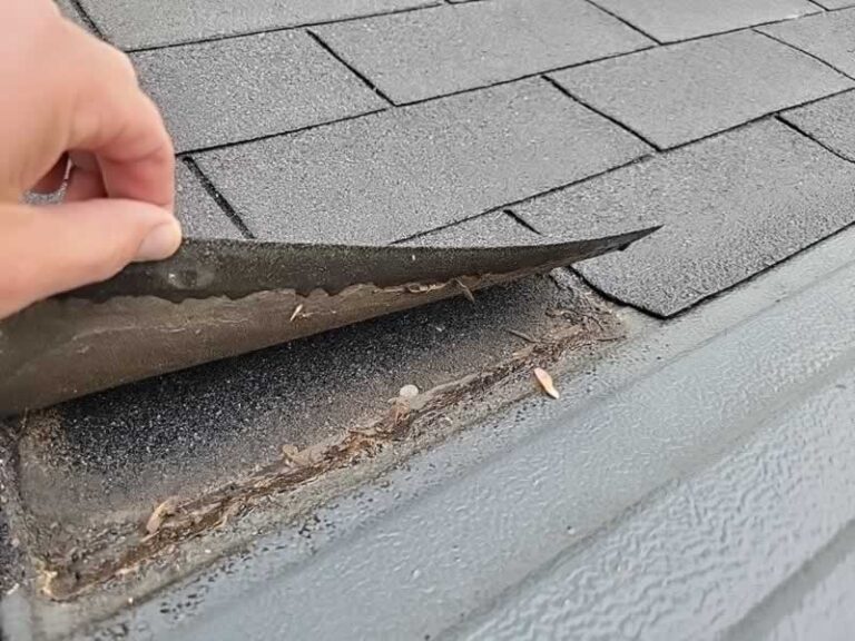 damaged shingle on the roof
