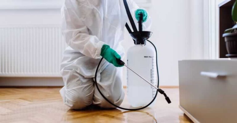 spraying for pest indoors