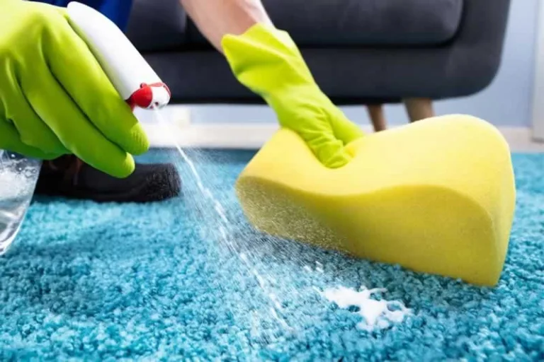 cleaning carpet with a sponge
