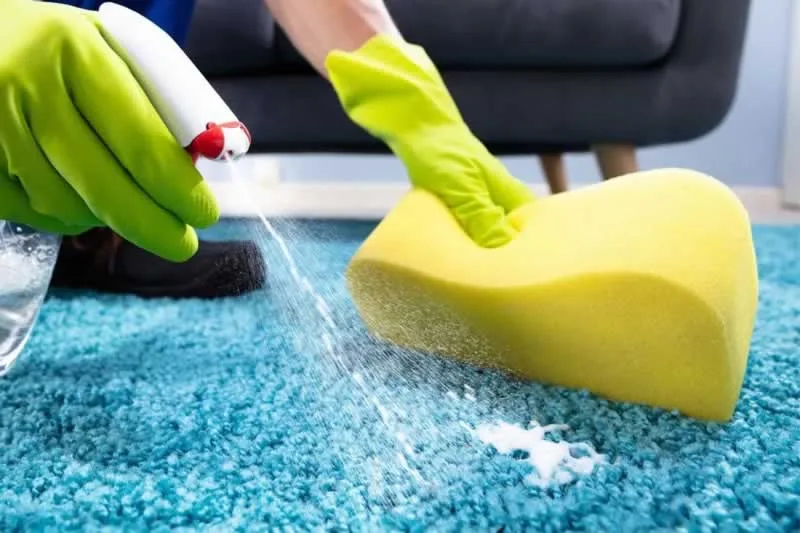 cleaning carpet with a sponge
