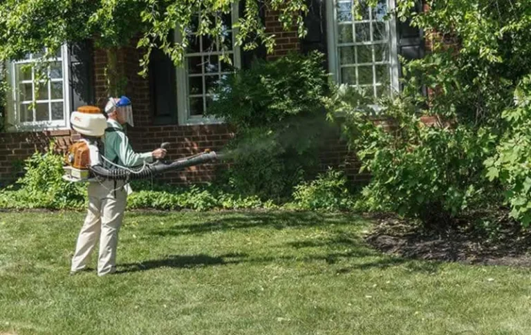 spraying backyard