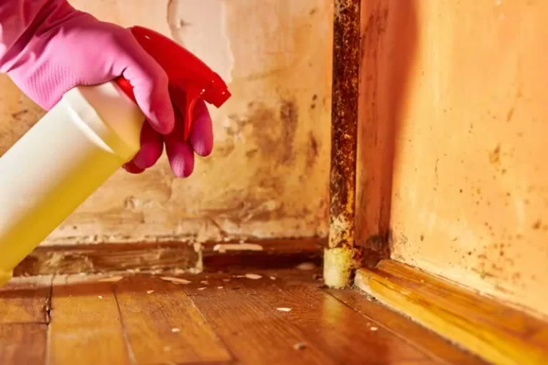 spraying mold