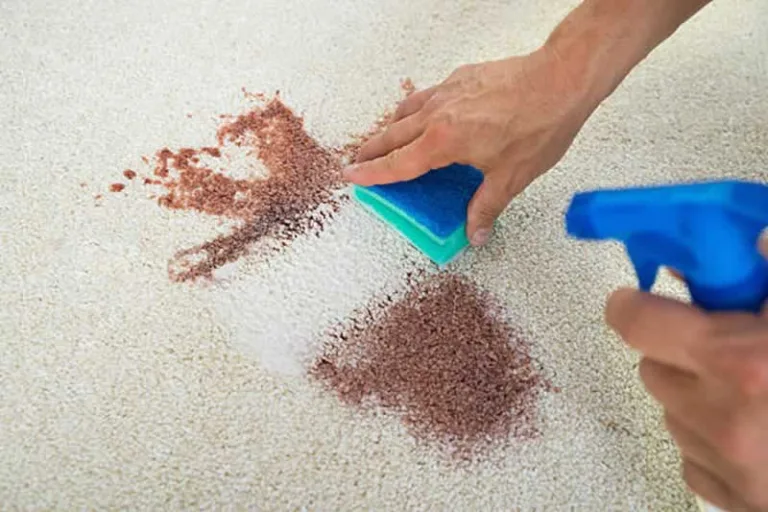 cleaning stain on wool rug