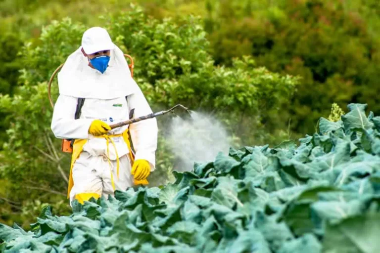 using pesticides in garden