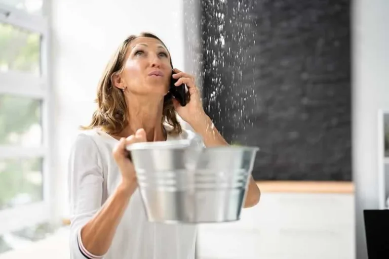 woman holding the bucket
