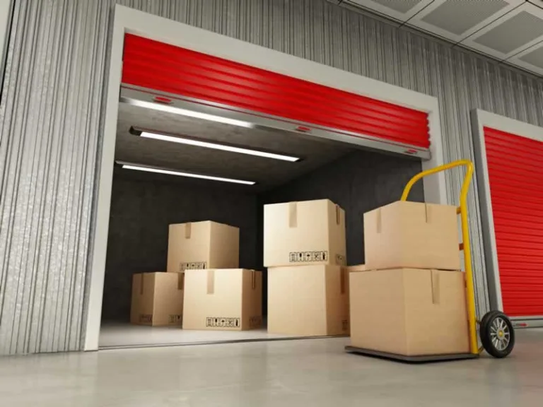 portable storage unit